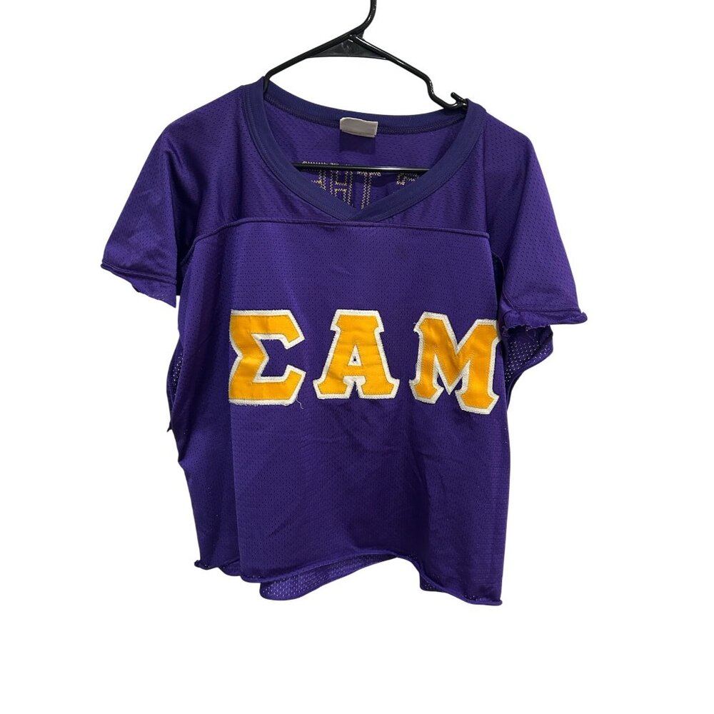 Vintage Bike Sigma Alpha Mu Fraternity Jersey Purple Sz XL Mesh Football